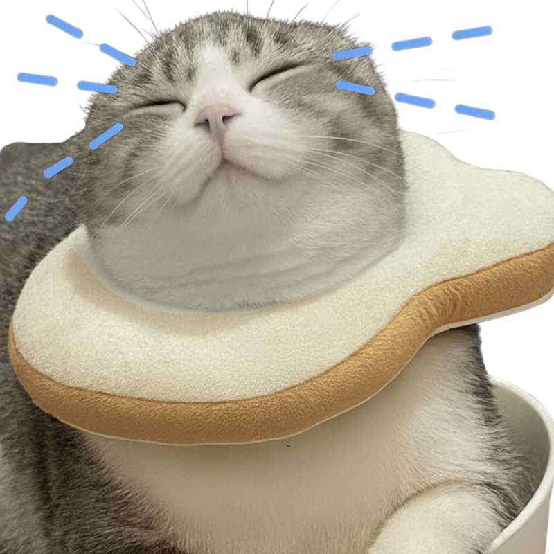 POPCAT Logo
